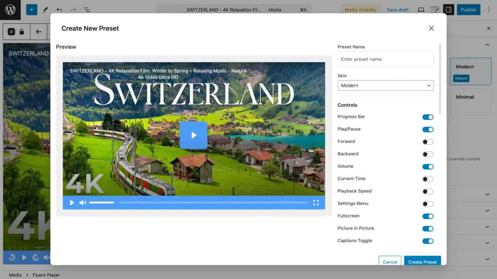 FluentPlayer custom preset's primary controls