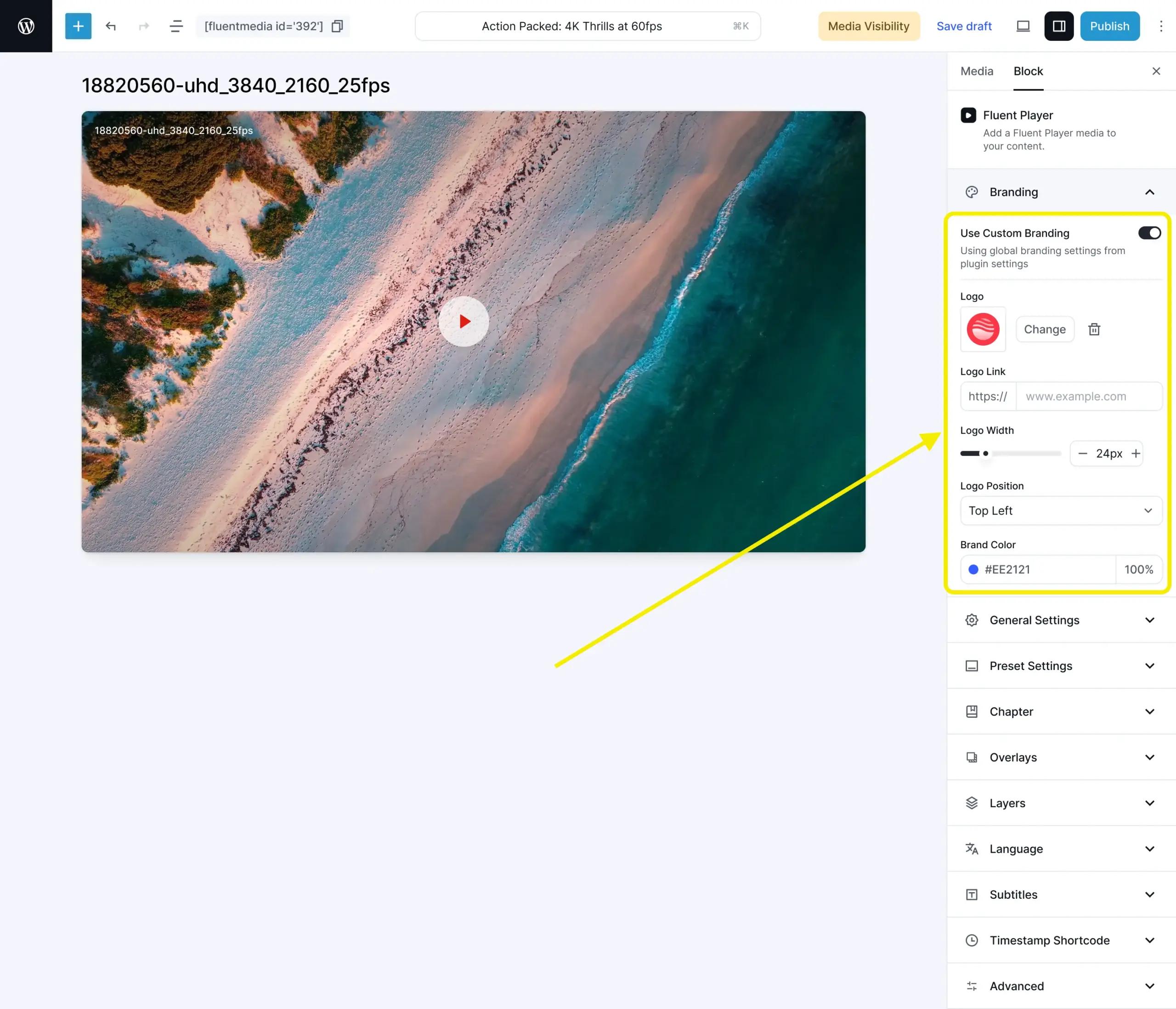 Branding control in FluentPlayer