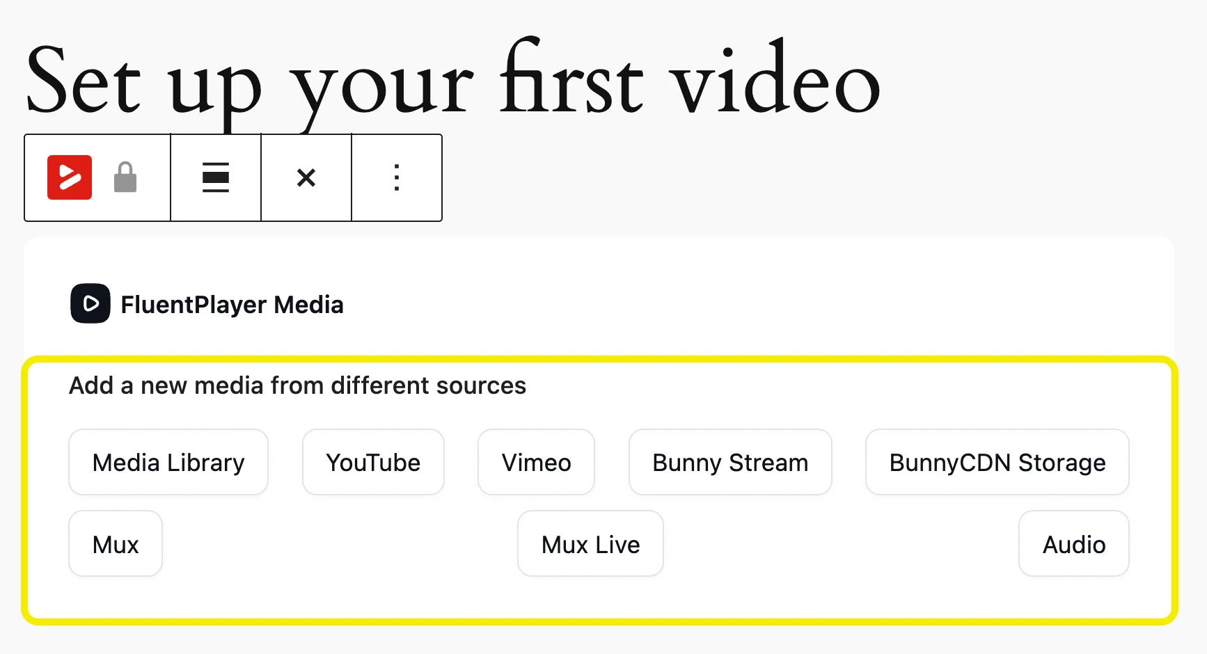 FluentPlayer supported sources: Media Library, YouTube, Vimeo, Bunny Stream BunnyCDN Storage, Mux, Mux Live, Audio